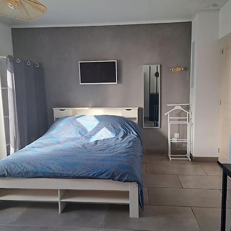 Studio Dans Maison Avec Jardin Et Balcon, Au Calme Sérézin-du-Rhône Εξωτερικό φωτογραφία