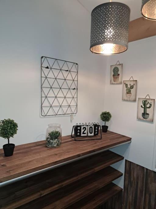 Studio Dans Maison Avec Jardin Et Balcon, Au Calme Sérézin-du-Rhône Εξωτερικό φωτογραφία