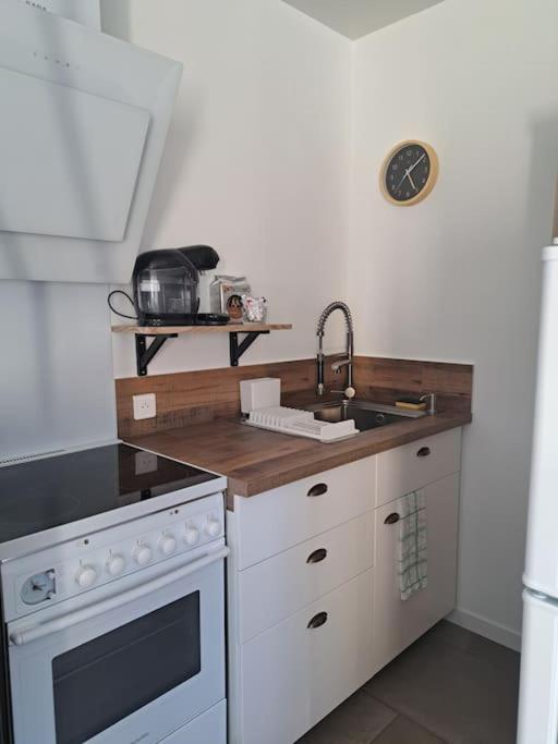 Studio Dans Maison Avec Jardin Et Balcon, Au Calme Sérézin-du-Rhône Εξωτερικό φωτογραφία