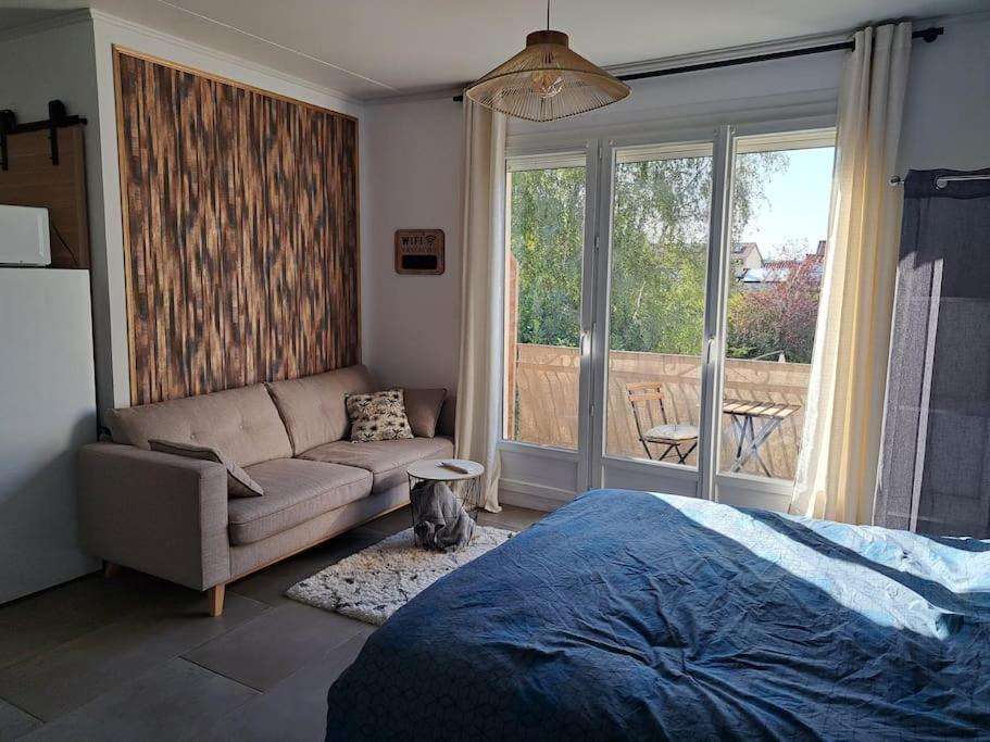 Studio Dans Maison Avec Jardin Et Balcon, Au Calme Sérézin-du-Rhône Εξωτερικό φωτογραφία